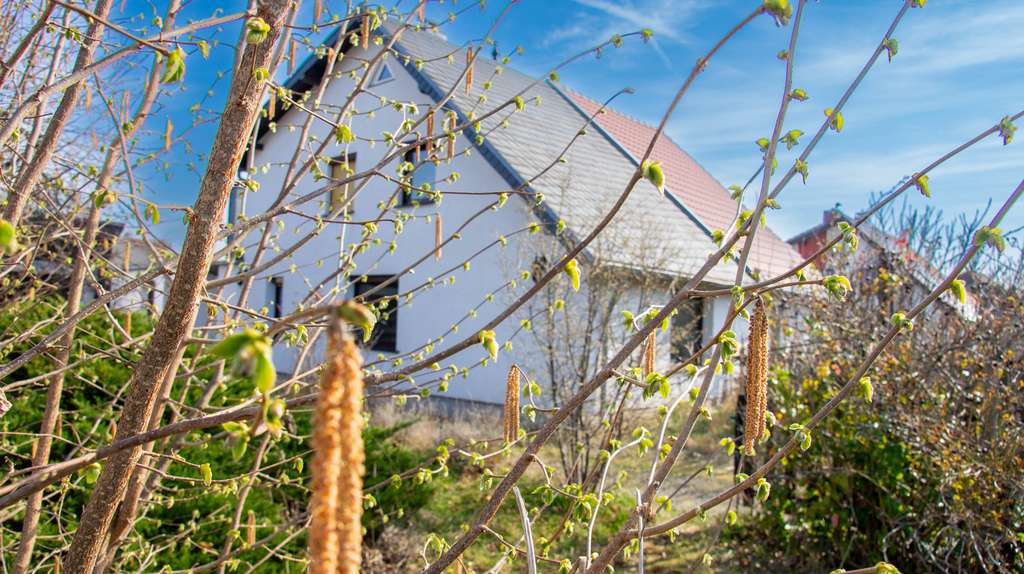 Immobilie in Hartmannsdorf - Rosannas Rosengarten - Bild 1