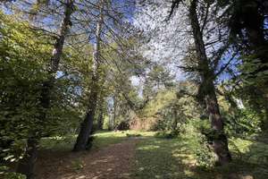 Halle-Innenstadt: Originale Villa zum Sanieren, für 1 bis 3 Familien, großes Park-Naturgrundst – Ratswerder 8, 6110 Südliche Innenstadt, Halle (Saale) – Vorschaubild 8
