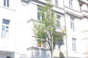 helle Dachgeschosswohnung Ostvierel