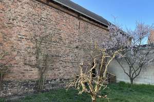 Einfamilienhaus mit 3 Garagen und Scheune in Friedberg (Hessen) – Beienheimer Straße 11, 61169 Friedberg (Hessen) – Vorschaubild 5