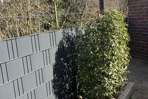 Property thumbnail 26