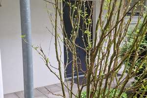 2 Zimmer Wohnung (Barrierefrei und ruhig) Zentral in Bochum Linden – Die vollständige Adresse der Immobilie erhältst du vom Anbieter., 44879 Linden, Bochum – Vorschaubild 17
