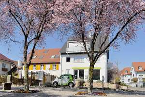 Generationenhaus mit 2-3 Wohneinheiten und Gewerbe – Die vollständige Adresse der Immobilie erhältst du vom Anbieter., 79189 Bad Krozingen – Vorschaubild 29