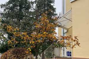 Freistehende, prachtvolle Villa in Wiesbaden – Wiesbaden – Vorschaubild 24