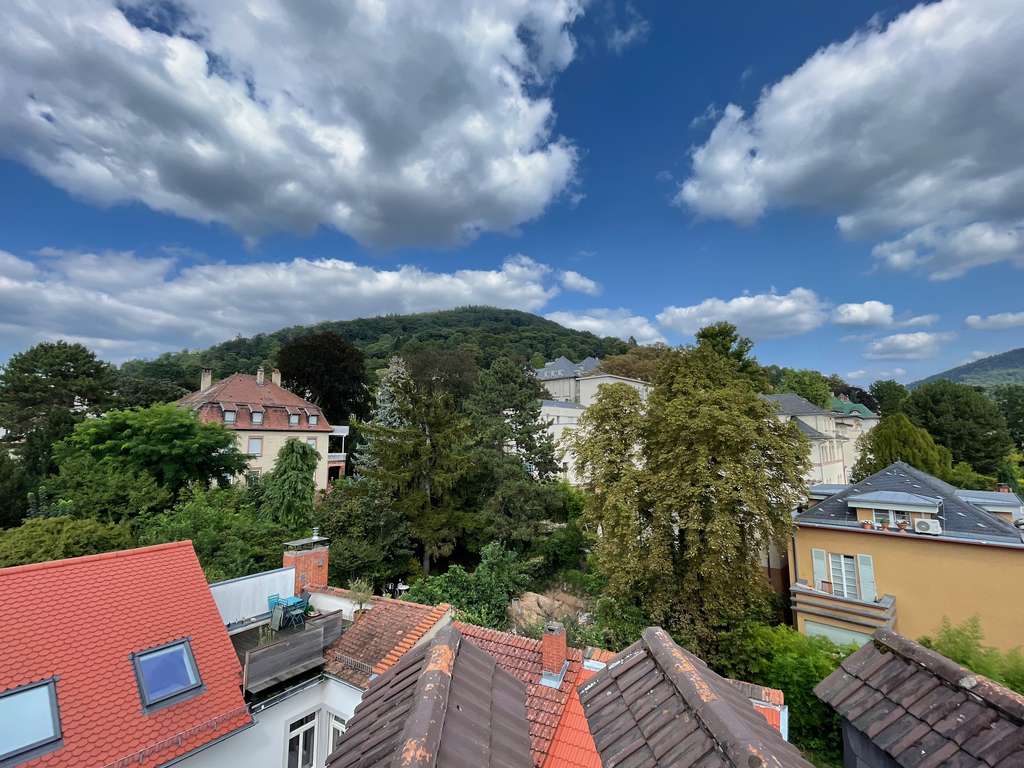 Zwei wunderschöne Altbauwohnungen in der besten Lage Neuenheim von 620,000€ bis 820,000€