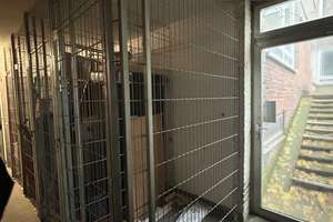  1-Raum-Wohnung in Köln Sülz – Remigiusstraße 14, 50937 Sülz, Köln – Vorschaubild 16