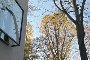 Attraktive, teilmöblierte 2-Zimmer-EG-Wohnung mit hochwertiger EBK, Terrasse und Blick ins Grüne – Subbelrather Straße 436, 50825 Ehrenfeld (Ortsteil), Köln – Vorschaubild 2