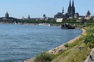 2 Zimmerwohnung in Riehl mit Balkon, Garage , Dom,- und Rheinblick! – Die vollständige Adresse der Immobilie erhältst du vom Anbieter., 50735 Riehl, Köln – Vorschaubild 35