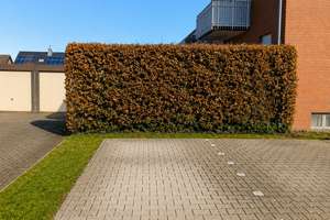 Lichtdurchflutete 3-Zimmer-Wohnung mit eigenem Garten, Balkon & Garage – Die vollständige Adresse der Immobilie erhältst du vom Anbieter., 59379 Selm – Vorschaubild 7