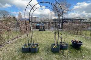 Property thumbnail 4