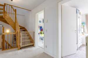 Modernes Wohnglück mit Dachterrasse – Potsdam – Vorschaubild 7