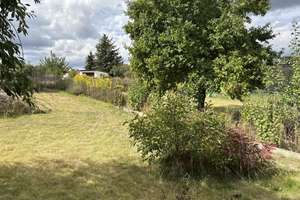 Idyllisches Zuhause mit Gartenparadies – Die vollständige Adresse der Immobilie erhältst du vom Anbieter., 38828 Wegeleben – Vorschaubild 7
