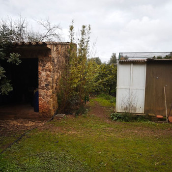 FINCA RÚSTICA SENCELLES