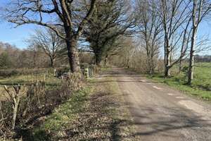 Viel Platz auf Traumgrundstück mitten im Landschaftsschutzgebiet – Die vollständige Adresse der Immobilie erhältst du vom Anbieter., 27711 Osterholz-Scharmbeck – Vorschaubild 5