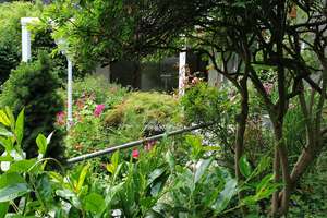 Property thumbnail 14