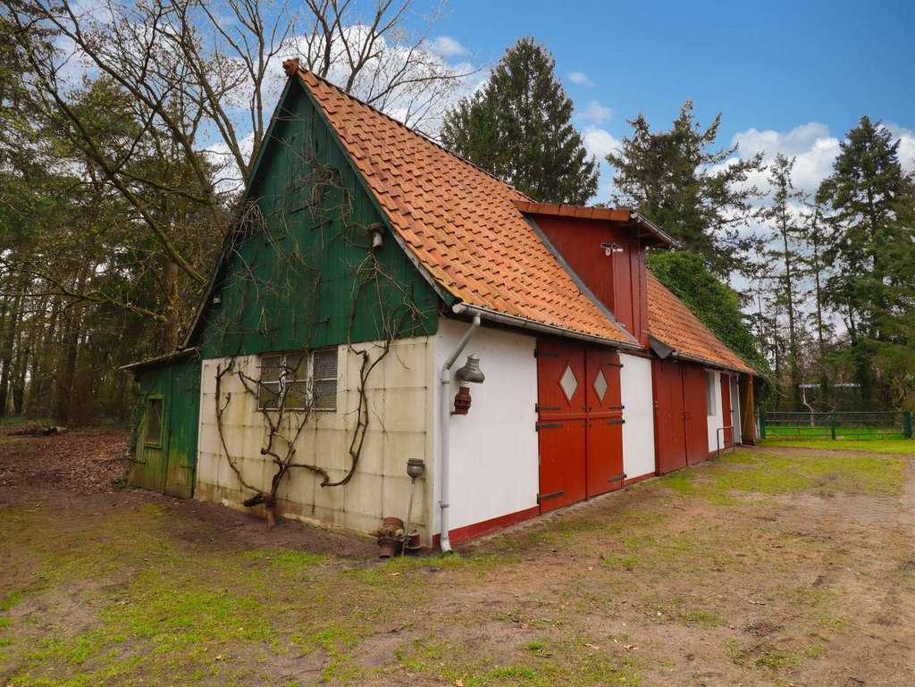 Immobilie in Barver - Großzügiges Ein-/Zweifamilienhaus in Barver mit 220 qm, Kamin und großem Grundstück in ruhiger Lage - Bild 3