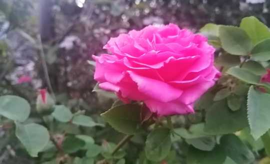 Willkommen in Ihrem neuen Zuhause in Knittelsheim