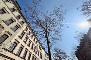 2 Zimmer • Schloßchemnitz • Eigentumswohnung • zum Kauf • vermietet • mit Balkon • Aufzug • kaufen! – Die vollständige Adresse der Immobilie erhältst du vom Anbieter., 9113 Schloßchemnitz, Chemnitz – Vorschaubild 8