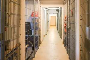 Property thumbnail 12