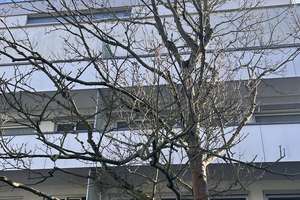 Exklusive 3-Zimmer-Wohnung mit Pool & Sauna in Düsseldorf-Niederkassel (Grenze Oberkassel) – Die vollständige Adresse der Immobilie erhältst du vom Anbieter., 40547 Niederkassel, Düsseldorf – Vorschaubild 11