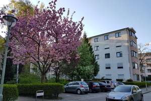 Provisionsfrei VB von privat: Renovierte 3-Zimmer-Wohnung mit Balkon und Einbauküche am Pankepark  – Kunkelstraße 3a, 13347 Gesundbrunnen, Berlin – Vorschaubild 2
