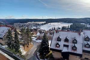 Wohnen mit traumhaften Schwarzwaldblick – Die vollständige Adresse der Immobilie erhältst du vom Anbieter., 78136 Schonach im Schwarzwald – Vorschaubild 13
