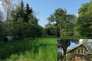 Mehrfamilienhaus zur Kapitalanlage mit ganz viel Grundstück inklusiv extra Bauplatz – Gyhum, Rotenburg (Wümme) (Kreis), 27404 Rotenburg (Wümme) (Kreis) – Vorschaubild 7