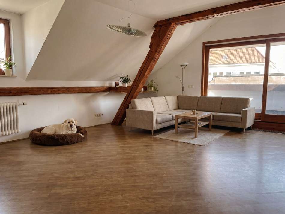 Wohnzimmer DG-1
