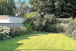 Stadthaus in Goch, 2019 komplett kernsaniert, mit Garten – Kalkarer Str. 53, 47574 Goch – Vorschaubild 12