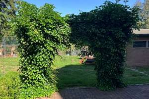 Großzügige 2,5-Zimmer mit Terrasse, Wanne, Dusche und Laminat und in guter Lage!  – Lichtenauer Straße 47, 9131 Ebersdorf, Chemnitz – Vorschaubild 5