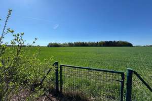 Exklusives Reetdachanwesen an der dänischen Grenze – mit 3 Hektar Land – Die vollständige Adresse der Immobilie erhältst du vom Anbieter., 25923 Humptrup – Vorschaubild 23