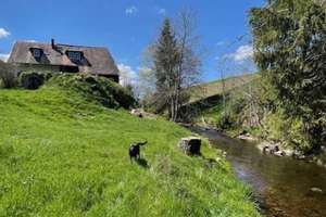 Natur pur - Leben und Arbeiten mit viel Freiraum  ! – Die vollständige Adresse der Immobilie erhältst du vom Anbieter., 79853 Lenzkirch – Vorschaubild 59