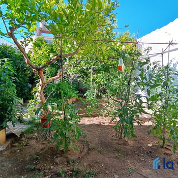REF. 260624807 HAUS ZUM VERKAUF IN CAMPILLOS (MALAGA)