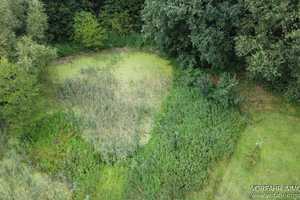 Traumhaftes Grundstück mit Bauernhaus, ca. 7 ha Wald, Teich und Nebengebäude – Parchim (Kreis) – Vorschaubild 20