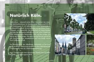 Lichtdurchflutete 2-Zimmer-Wohnung mit Terrasse und Domblick! WE 38 – Probsteigasse 41-43, 50670 Altstadt/Nord, Köln – Vorschaubild 6