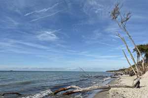 Neuwertiges Refugium im Ostseebad Prerow - Reihenendhaus – Nordvorpommern (Kreis) – Vorschaubild 31