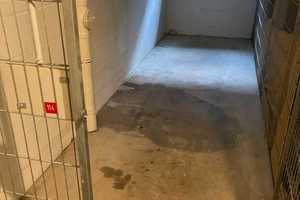 * Tolle Wohnung in WI: Neubau-3 ZKBB mit 70m²! Sofort frei zum Bezug oder für 949,- kalt vermieten! – Kreuzberger Ring 25g, 65205 Wiesbaden – Vorschaubild 29