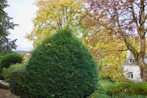 Furnished Apartment in Prime Location at Wiesbaden’s Neroberg – Die vollständige Adresse der Immobilie erhältst du vom Anbieter., 65193 Nordost, Wiesbaden – Vorschaubild 8