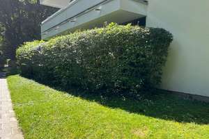 Property thumbnail 24