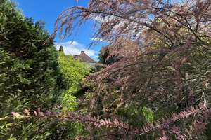 Doppelhaushälfte mit großem Garten in ruhiger Lage von Niederschönhausen – Die vollständige Adresse der Immobilie erhältst du vom Anbieter., 13156 Niederschönhausen, Berlin – Vorschaubild 4
