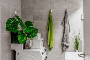 Property thumbnail 13