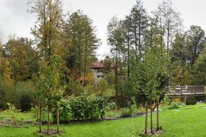 Property thumbnail 15