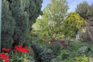 Charmantes Einfamilienhaus mit Garten und großem Potenzial in Frankfurt