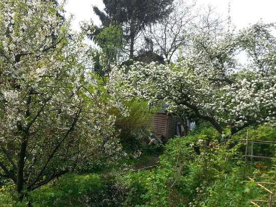 Gemütliches Siedlungshaus in Berlin-Britz, nahe dem Britzer Garten - Bild 22