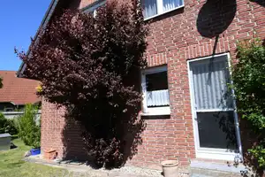 Familienfreundliches Zuhause mit Garage und Keller – 4-Raum-Wohnhaus in naturnaher Lage – Ibbenbürener Straße 9, 6862 Dessau-Roßlau – Vorschaubild 5
