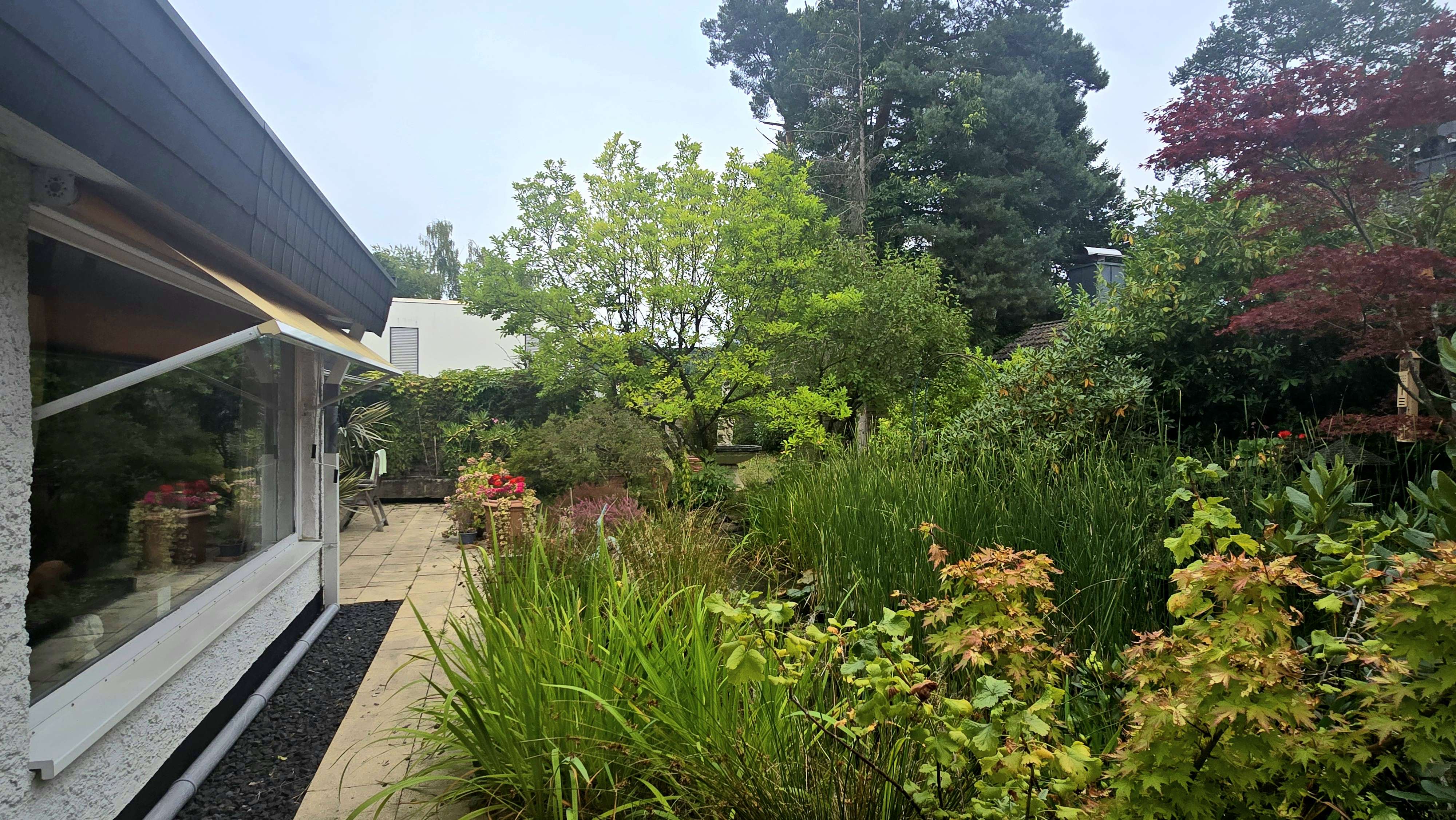 Immobilie in Rheinbreitbach - Einfamilienhaus mit Top-Ausstattung 2 Bäder ruhiger Lage Garten Garage Carport schöne Au - Bild 16