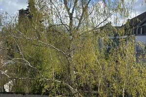 Moderne, frisch renovierte 2-Zimmer Wohnung mit Balkon in Köln-Lindenthal – Landgrafenstrasse 4, 50931 Lindenthal (Ortsteil), Köln – Vorschaubild 12