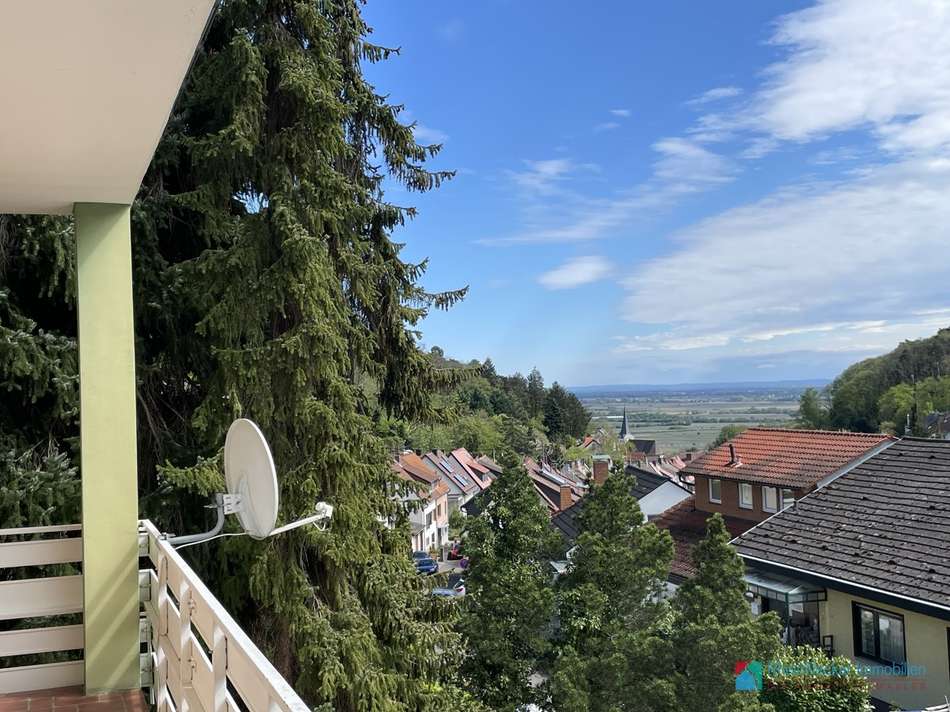Blick in Ebene
