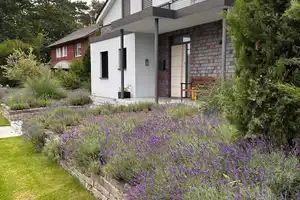 Exklusives Wohnen in Telgte: Luxuriöse Villa mit innovativer Technik und Pool – Warendorf (Kreis) – Vorschaubild 42
