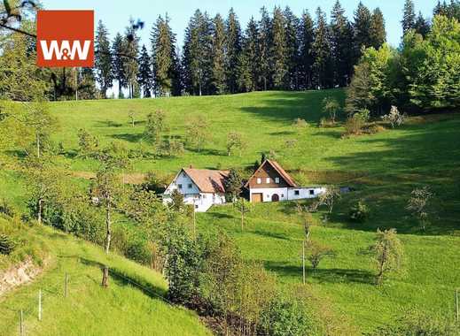 Bauernhaus & Landhaus Ortenaukreis - ImmobilienScout24